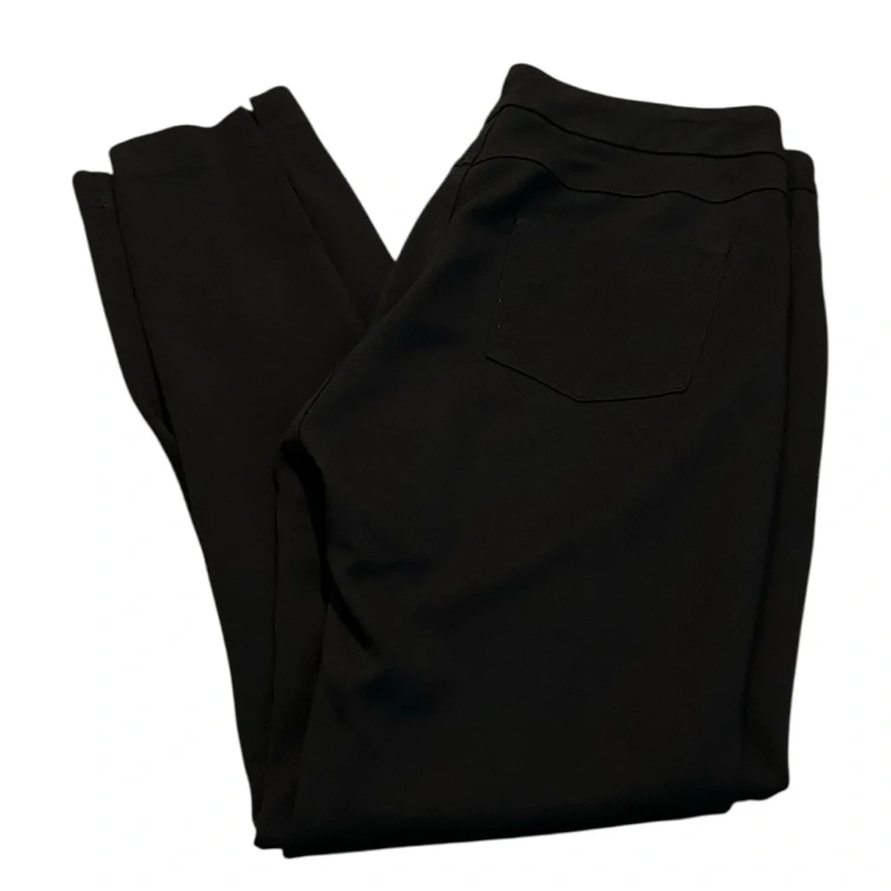 SOFT SURROUNDINGS super sleek black pull on legging pants
